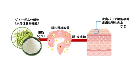 グアー豆食物繊維の摂取が肌機能を改善することを発見